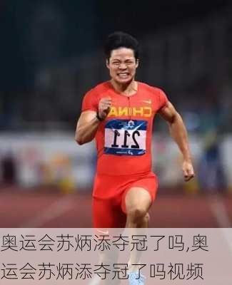 奥运会苏炳添夺冠了吗,奥运会苏炳添夺冠了吗视频