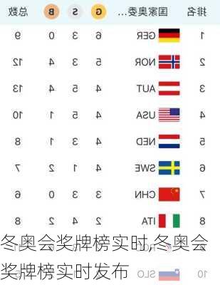 冬奥会奖牌榜实时,冬奥会奖牌榜实时发布