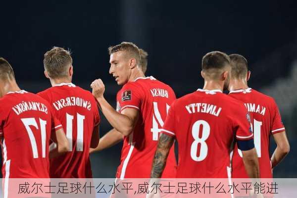 威尔士足球什么水平,威尔士足球什么水平能进