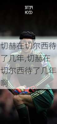 切赫在切尔西待了几年,切赫在切尔西待了几年啊