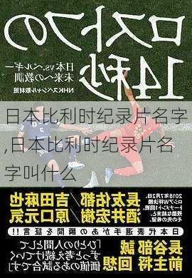 日本比利时纪录片名字,日本比利时纪录片名字叫什么