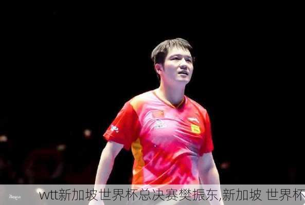 wtt新加坡世界杯总决赛樊振东,新加坡 世界杯