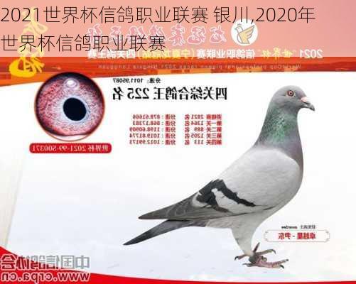 2021世界杯信鸽职业联赛 银川,2020年世界杯信鸽职业联赛