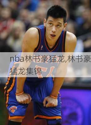 nba林书豪猛龙,林书豪猛龙集锦