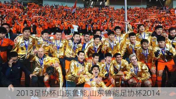 2013足协杯山东鲁能,山东鲁能足协杯2014