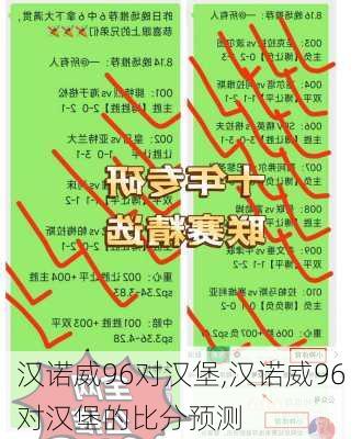 汉诺威96对汉堡,汉诺威96对汉堡的比分预测