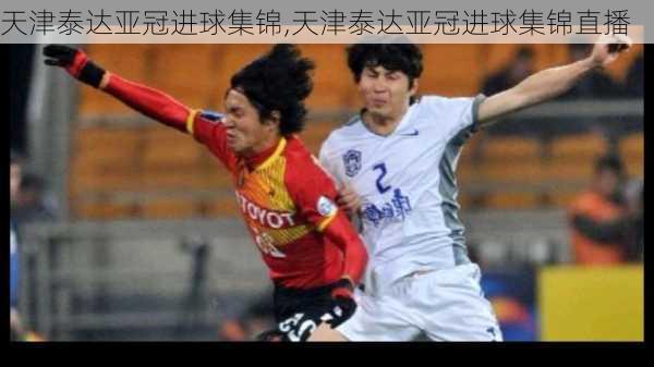 天津泰达亚冠进球集锦,天津泰达亚冠进球集锦直播