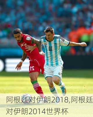 阿根廷对伊朗2018,阿根廷对伊朗2014世界杯