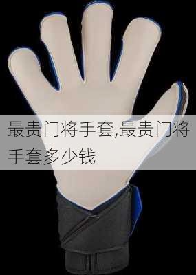 最贵门将手套,最贵门将手套多少钱