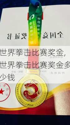 世界拳击比赛奖金,世界拳击比赛奖金多少钱