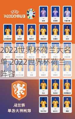 2022世界杯荷兰大名单,2022世界杯荷兰阵容