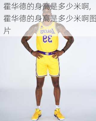 霍华德的身高是多少米啊,霍华德的身高是多少米啊图片