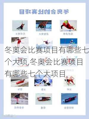 冬奥会比赛项目有哪些七个大项,冬奥会比赛项目有哪些七个大项目