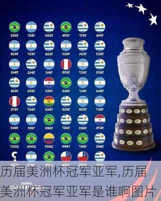 历届美洲杯冠军亚军,历届美洲杯冠军亚军是谁啊图片