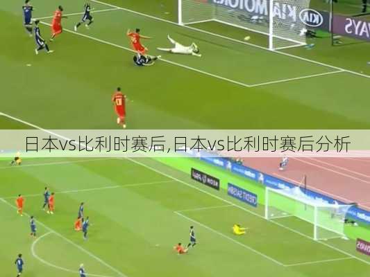 日本vs比利时赛后,日本vs比利时赛后分析