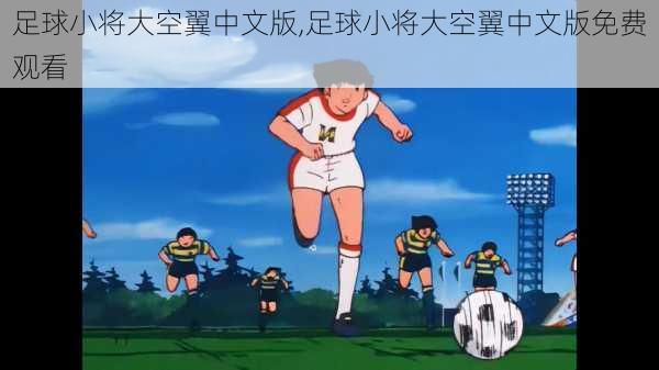 足球小将大空翼中文版,足球小将大空翼中文版免费观看