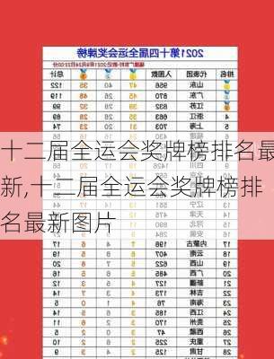 十二届全运会奖牌榜排名最新,十二届全运会奖牌榜排名最新图片