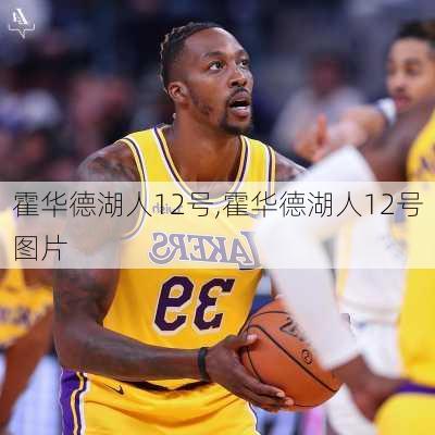 霍华德湖人12号,霍华德湖人12号图片