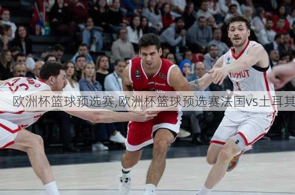 欧洲杯篮球预选赛,欧洲杯篮球预选赛法国vs土耳其