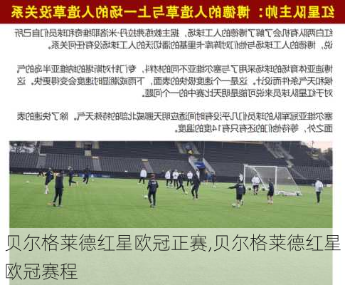 贝尔格莱德红星欧冠正赛,贝尔格莱德红星欧冠赛程