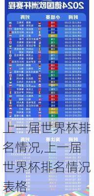 上一届世界杯排名情况,上一届世界杯排名情况表格