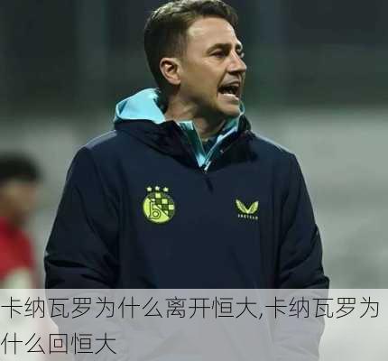 卡纳瓦罗为什么离开恒大,卡纳瓦罗为什么回恒大