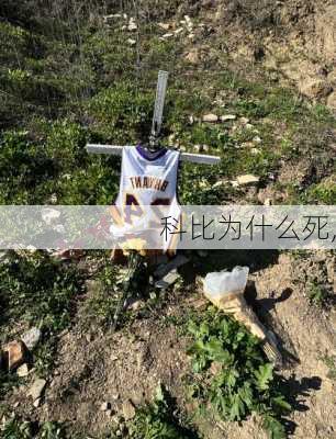 科比为什么死,