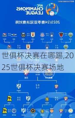 世俱杯决赛在哪踢,2025世俱杯决赛场地
