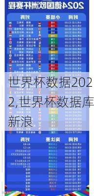 世界杯数据2022,世界杯数据库新浪