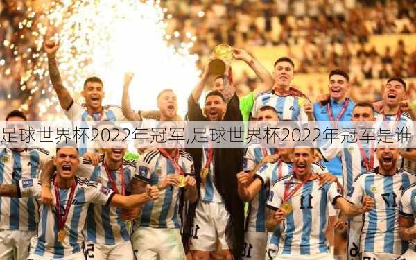 足球世界杯2022年冠军,足球世界杯2022年冠军是谁