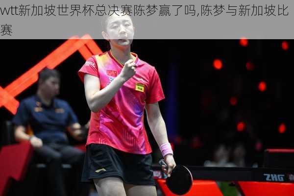 wtt新加坡世界杯总决赛陈梦赢了吗,陈梦与新加坡比赛