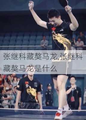 张继科藏獒马龙,张继科藏獒马龙是什么
