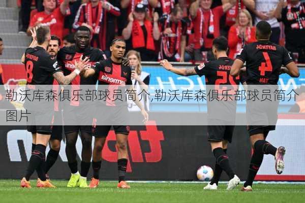 勒沃库森俱乐部球员简介,勒沃库森俱乐部球员简介图片