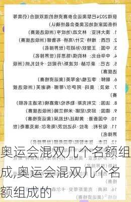 奥运会混双几个名额组成,奥运会混双几个名额组成的