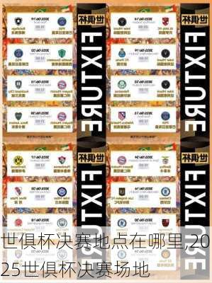 世俱杯决赛地点在哪里,2025世俱杯决赛场地