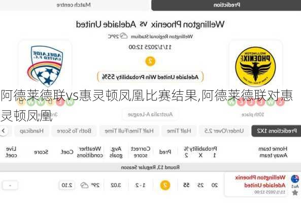 阿德莱德联vs惠灵顿凤凰比赛结果,阿德莱德联对惠灵顿凤凰