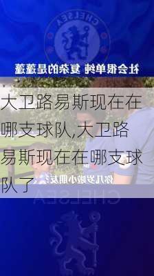 大卫路易斯现在在哪支球队,大卫路易斯现在在哪支球队了