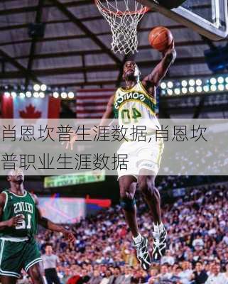 肖恩坎普生涯数据,肖恩坎普职业生涯数据