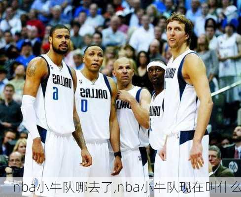 nba小牛队哪去了,nba小牛队现在叫什么