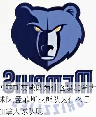 孟菲斯灰熊队为什么是加拿大球队,孟菲斯灰熊队为什么是加拿大球队呢