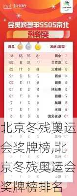 北京冬残奥运会奖牌榜,北京冬残奥运会奖牌榜排名