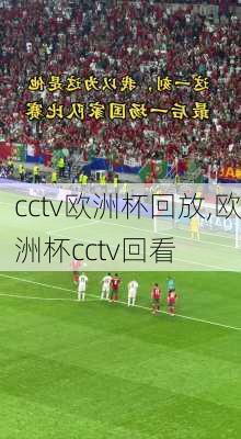 cctv欧洲杯回放,欧洲杯cctv回看