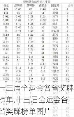十三届全运会各省奖牌榜单,十三届全运会各省奖牌榜单图片