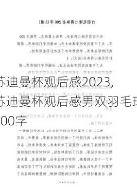 苏迪曼杯观后感2023,苏迪曼杯观后感男双羽毛球200字