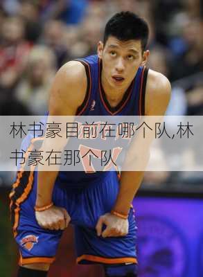 林书豪目前在哪个队,林书豪在那个队