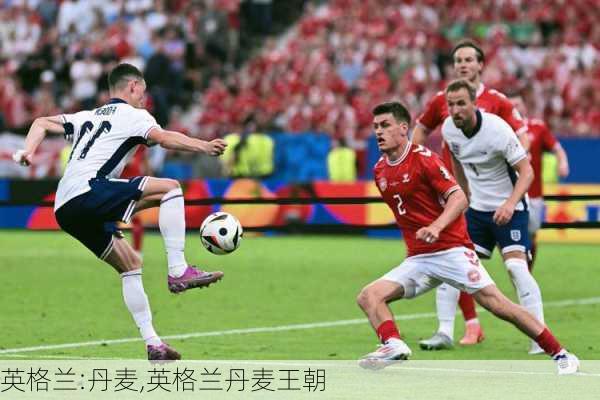 英格兰:丹麦,英格兰丹麦王朝