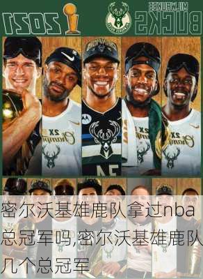 密尔沃基雄鹿队拿过nba总冠军吗,密尔沃基雄鹿队几个总冠军