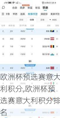 欧洲杯预选赛意大利积分,欧洲杯预选赛意大利积分排名
