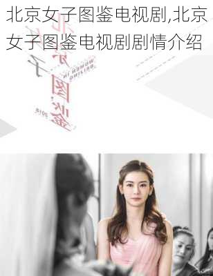 北京女子图鉴电视剧,北京女子图鉴电视剧剧情介绍