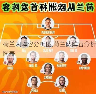 荷兰队阵容分析图,荷兰队阵容分析图表